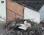 Capi_Dubne_20250528_175003.jpg