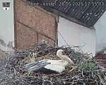 Capi_Dubne_20250528_175503.jpg