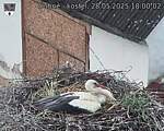 Capi_Dubne_20250528_180002.jpg