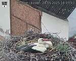 Capi_Dubne_20250528_180503.jpg