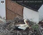 Capi_Dubne_20250528_181503.jpg