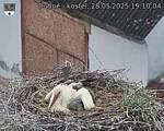 Capi_Dubne_20250528_191004.jpg