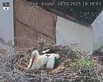 Capi_Dubne_20250528_193003.jpg