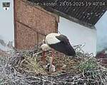 Capi_Dubne_20250528_194004.jpg