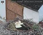 Capi_Dubne_20250528_194504.jpg