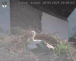 Capi_Dubne_20250528_200503.jpg