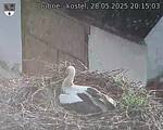 Capi_Dubne_20250528_201503.jpg