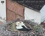Capi_Dubne_20250528_203002.jpg
