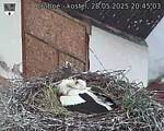 Capi_Dubne_20250528_204503.jpg