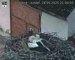 Capi_Dubne_20250528_210002.jpg