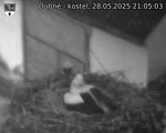Capi_Dubne_20250528_210503.jpg
