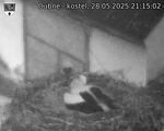 Capi_Dubne_20250528_211502.jpg