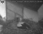 Capi_Dubne_20250528_212003.jpg