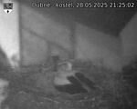 Capi_Dubne_20250528_212502.jpg