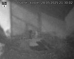 Capi_Dubne_20250528_213002.jpg