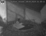 Capi_Dubne_20250528_213511.jpg