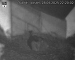 Capi_Dubne_20250528_222002.jpg