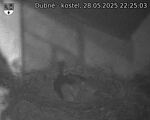 Capi_Dubne_20250528_222503.jpg