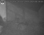 Capi_Dubne_20250529_003003.jpg