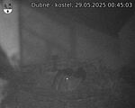 Capi_Dubne_20250529_004503.jpg