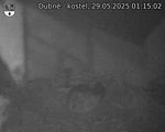Capi_Dubne_20250529_011502.jpg