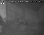 Capi_Dubne_20250529_012003.jpg