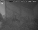 Capi_Dubne_20250529_024002.jpg