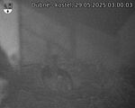 Capi_Dubne_20250529_030003.jpg