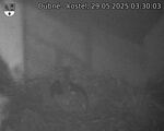 Capi_Dubne_20250529_033003.jpg