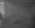 Capi_Dubne_20250529_035003.jpg