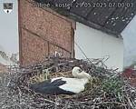 Capi_Dubne_20250529_070003.jpg