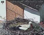 Capi_Dubne_20250529_115504.jpg