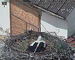 Capi_Dubne_20250529_131503.jpg