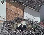 Capi_Dubne_20250529_132004.jpg