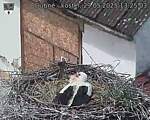 Capi_Dubne_20250529_132503.jpg