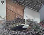 Capi_Dubne_20250529_134002.jpg