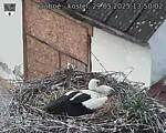 Capi_Dubne_20250529_135002.jpg