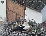 Capi_Dubne_20250529_135502.jpg
