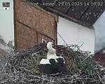 Capi_Dubne_20250529_141002.jpg