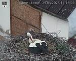 Capi_Dubne_20250529_141503.jpg