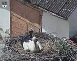 Capi_Dubne_20250529_143502.jpg