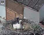 Capi_Dubne_20250529_144003.jpg