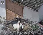 Capi_Dubne_20250529_145004.jpg