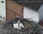Capi_Dubne_20250529_145503.jpg