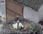 Capi_Dubne_20250529_151503.jpg