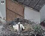 Capi_Dubne_20250529_152003.jpg