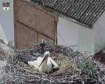 Capi_Dubne_20250529_152502.jpg