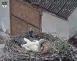Capi_Dubne_20250529_154003.jpg