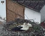 Capi_Dubne_20250529_155503.jpg