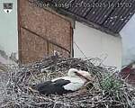 Capi_Dubne_20250529_161502.jpg